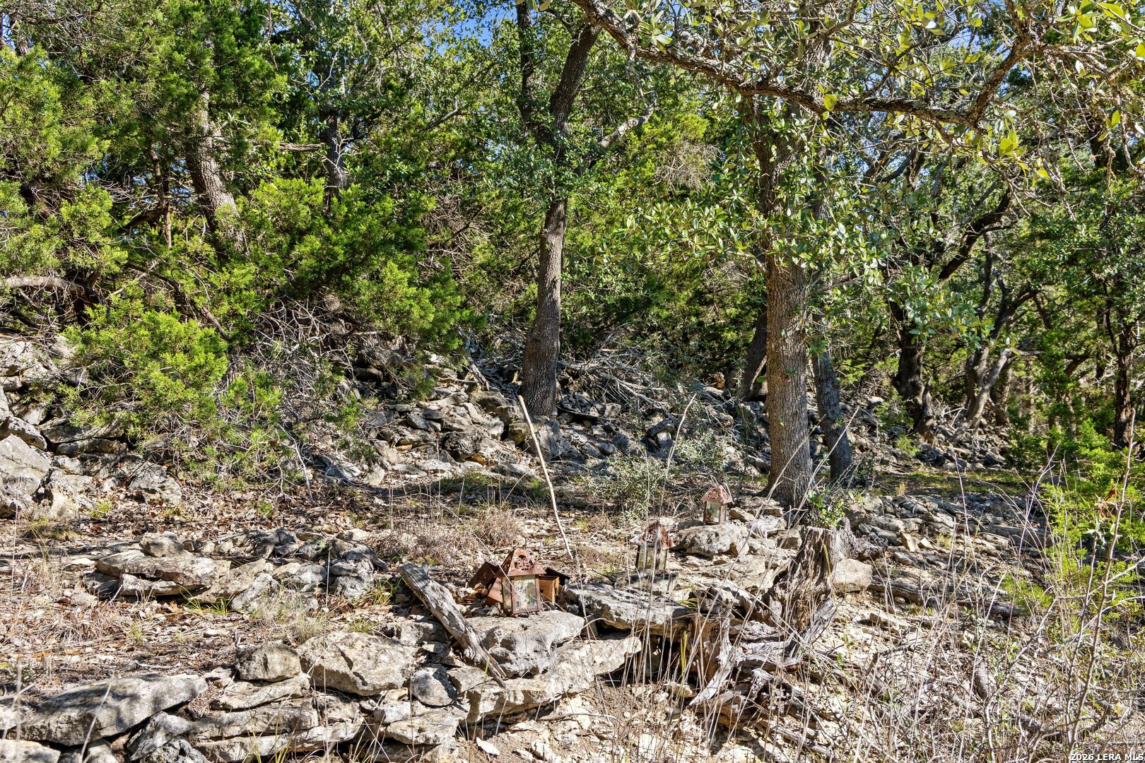 1770 Divide Pass Blanco TX 78606