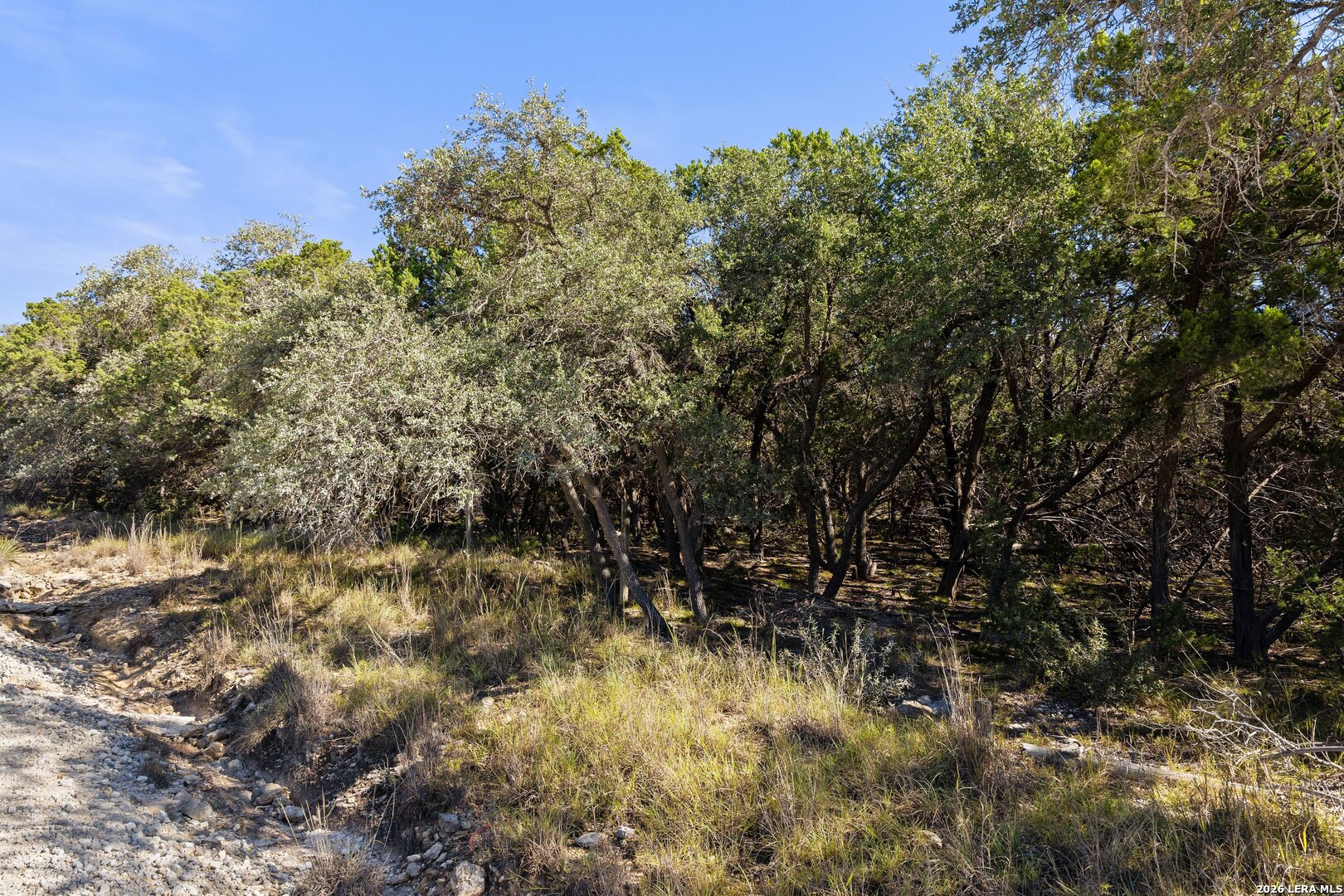 1770 Divide Pass Blanco TX 78606