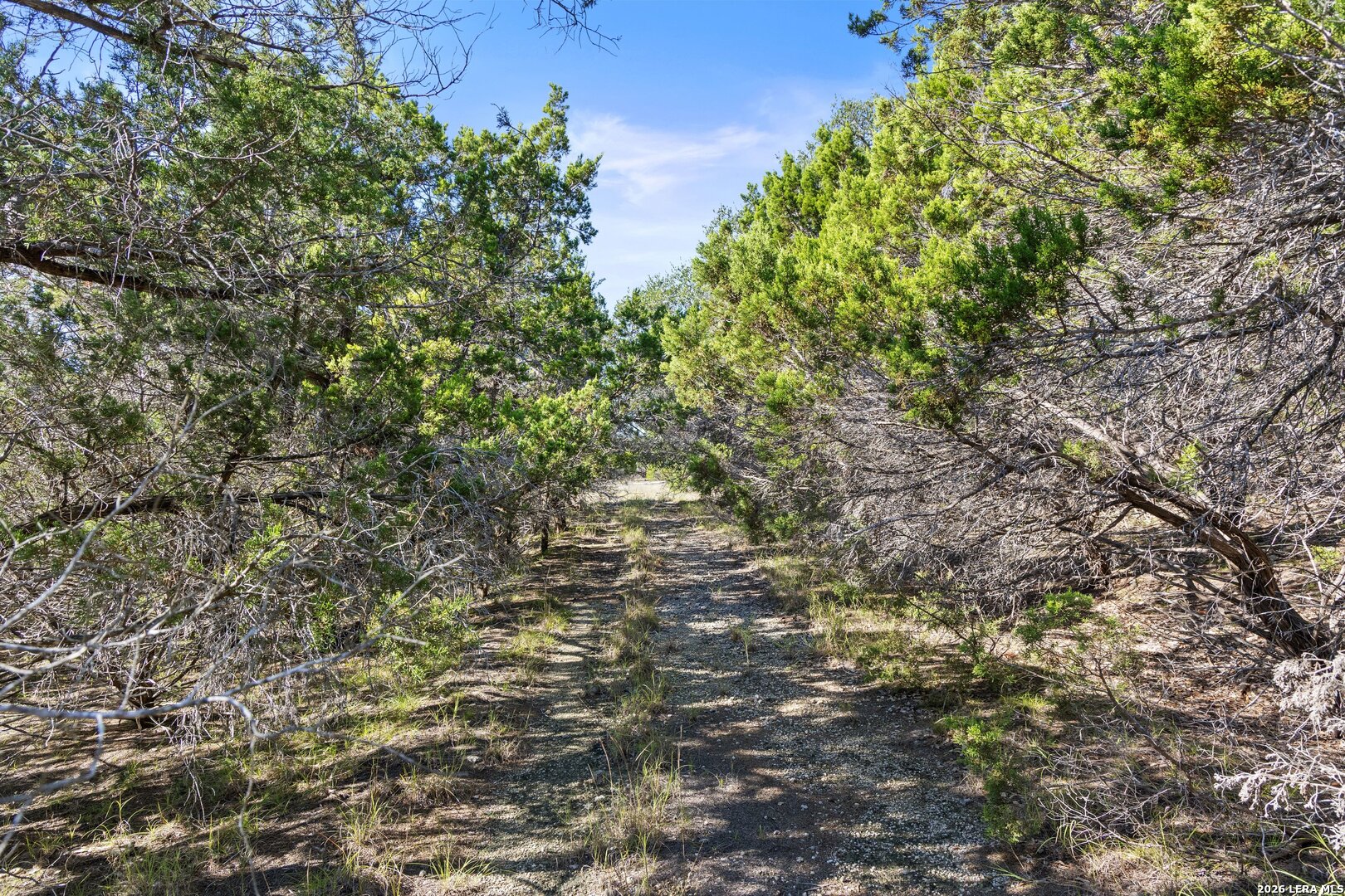 1770 Divide Pass Blanco TX 78606