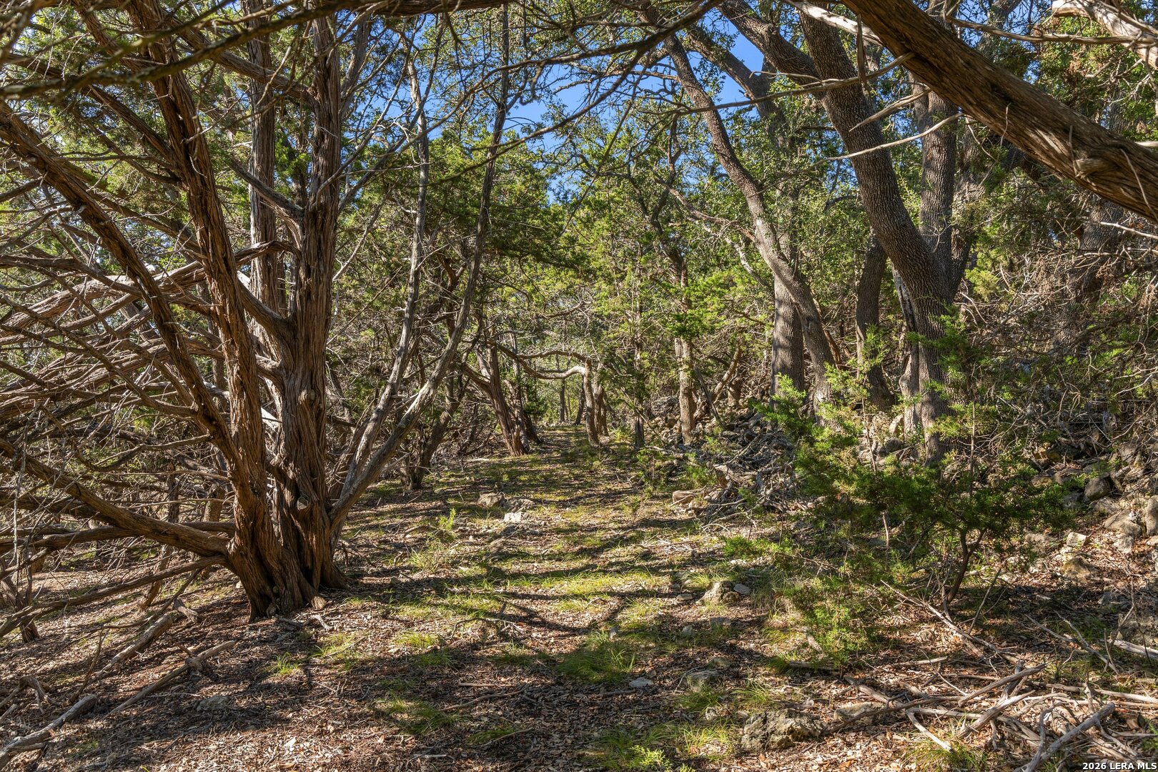 1770 Divide Pass Blanco TX 78606