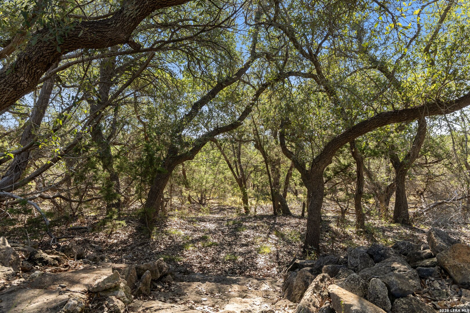 1770 Divide Pass Blanco TX 78606