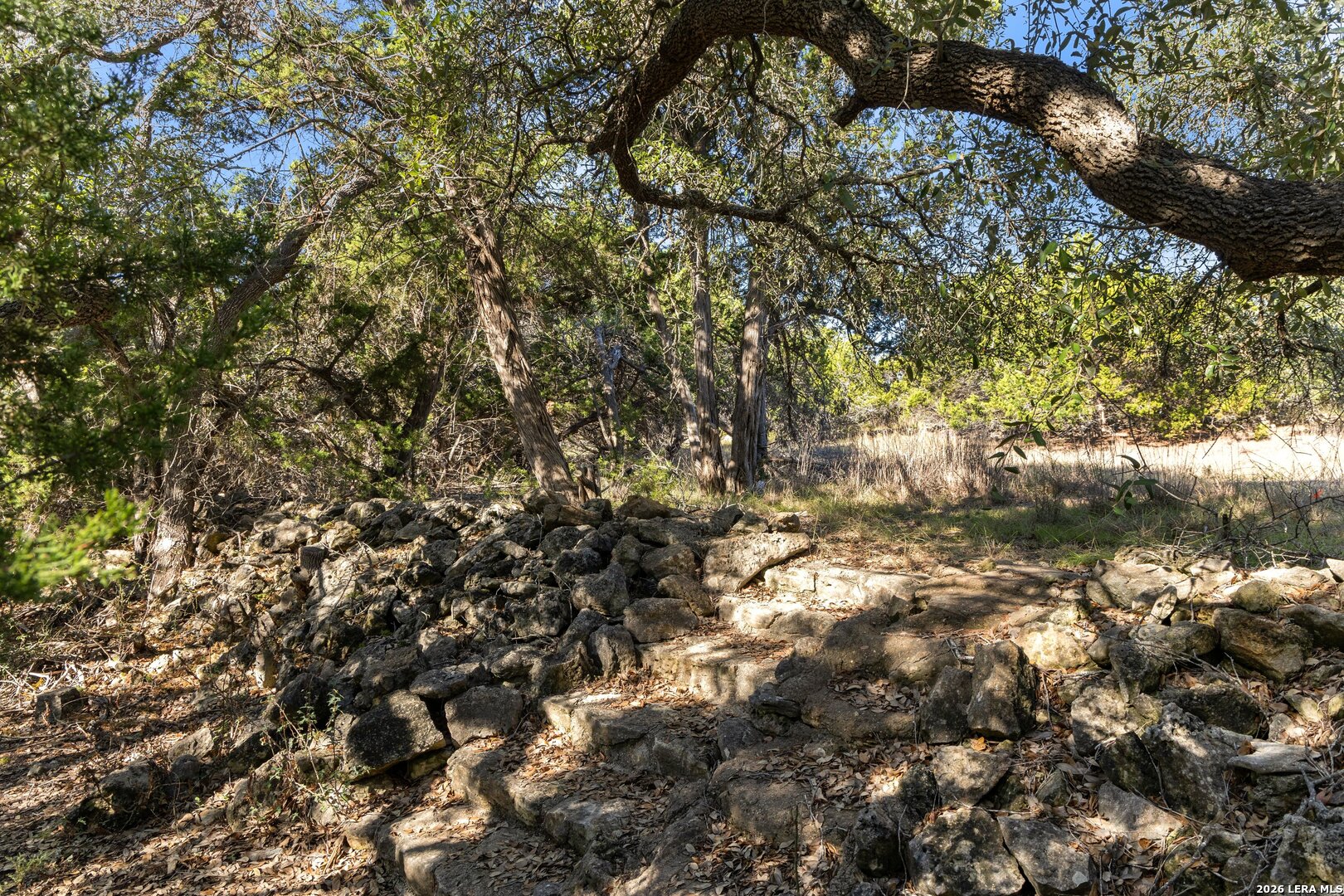 1770 Divide Pass Blanco TX 78606