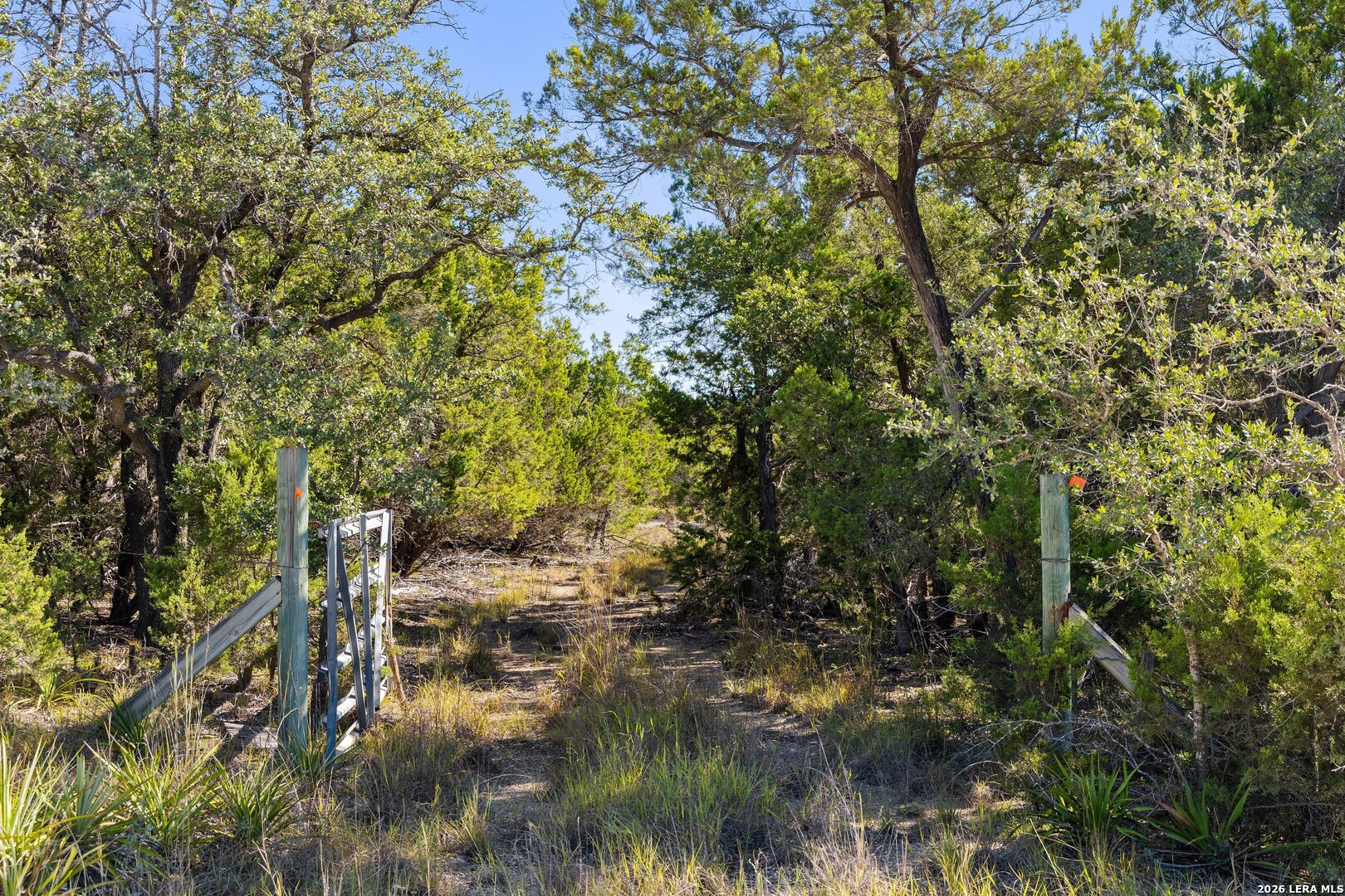 1770 Divide Pass Blanco TX 78606