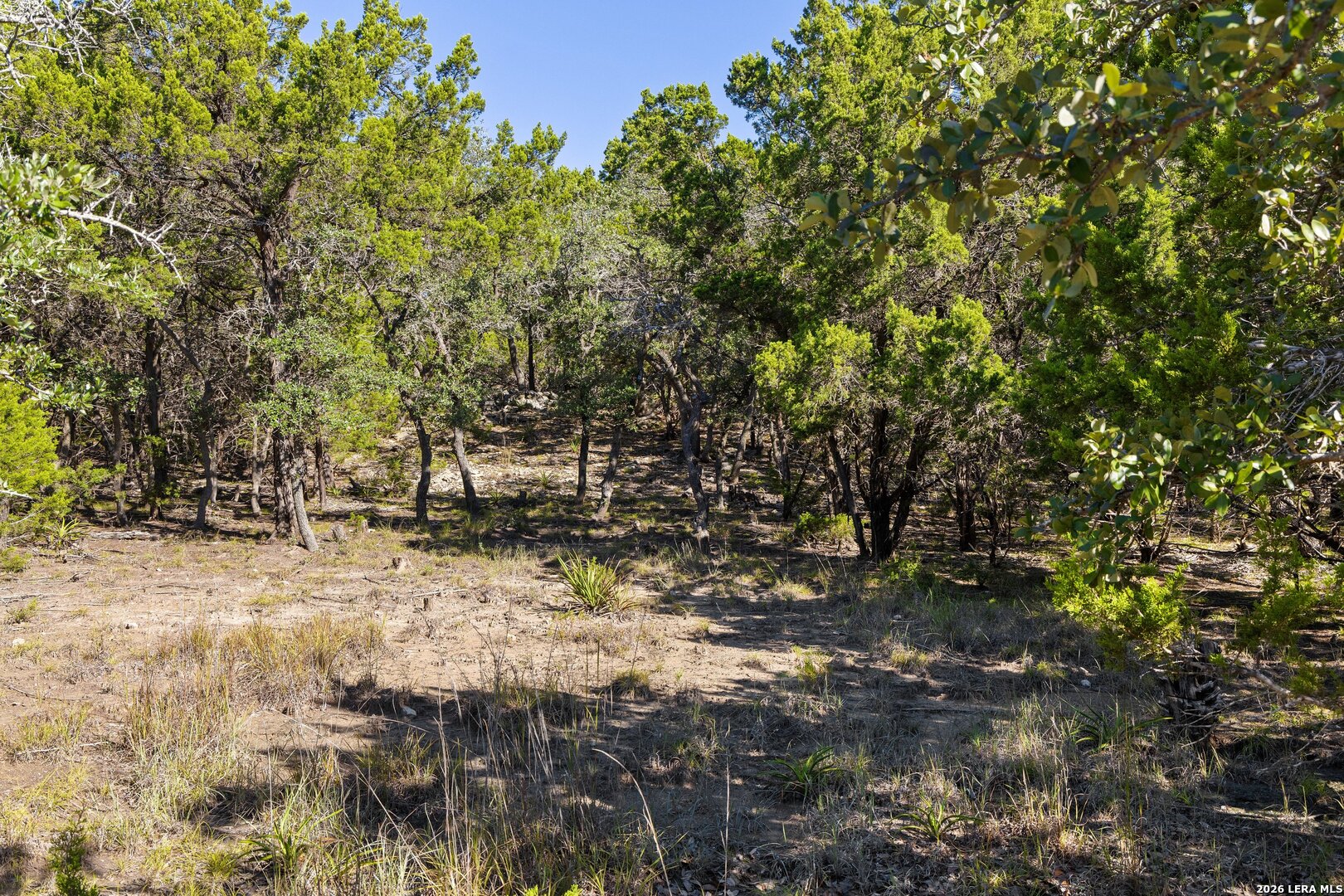 1770 Divide Pass Blanco TX 78606