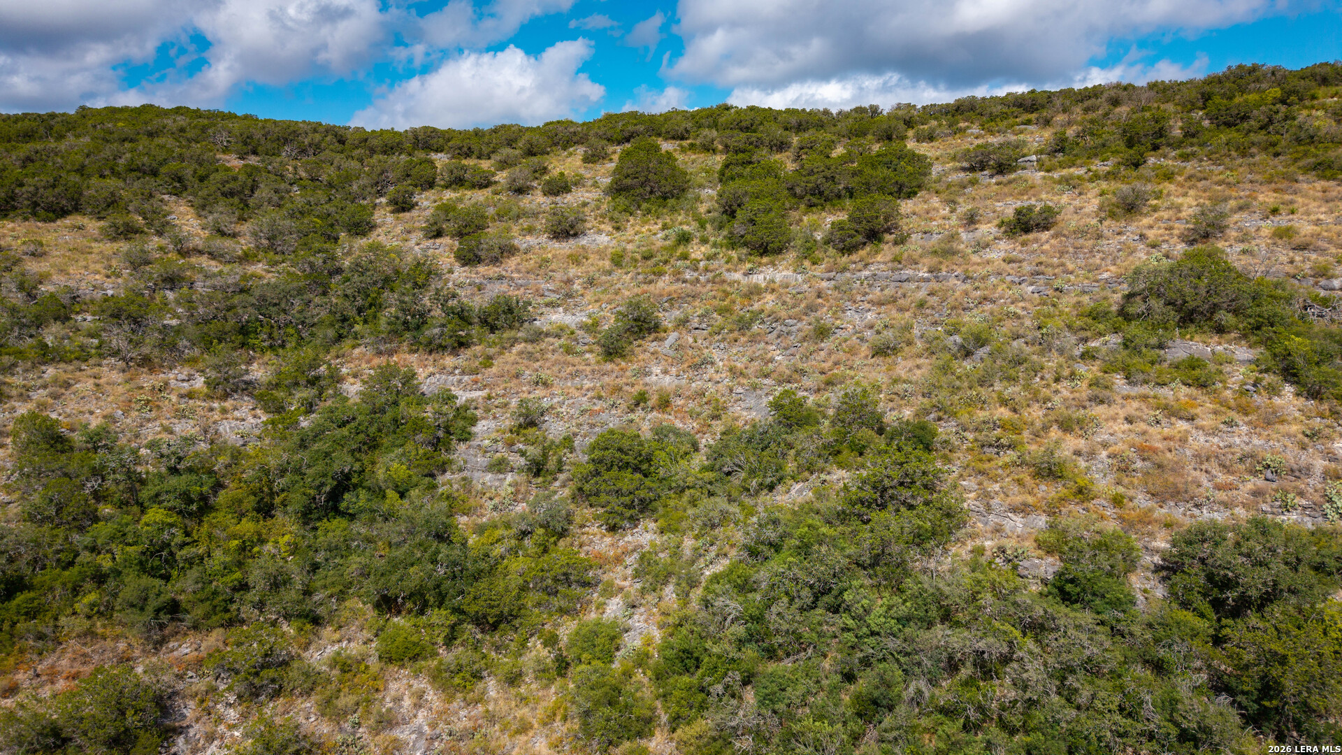137 Acres Mesa Verde Sabinal TX 78881