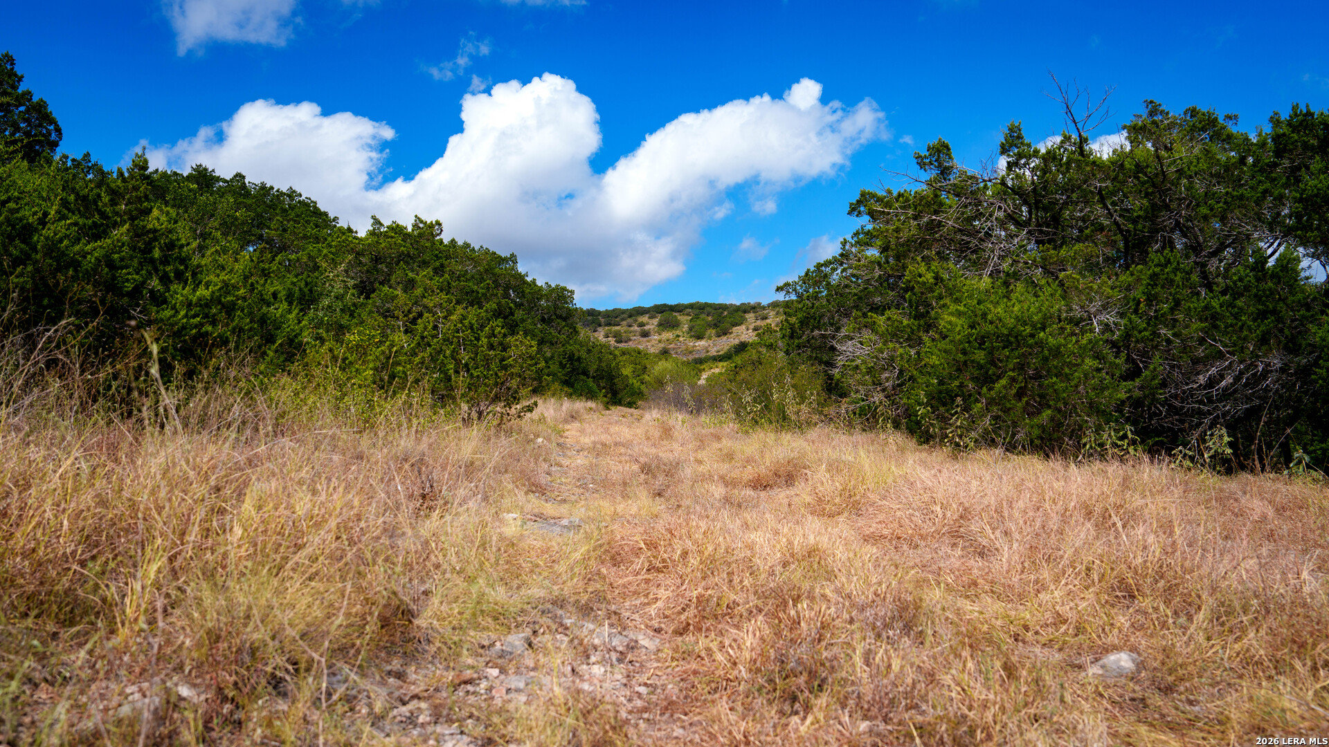 137 Acres Mesa Verde Sabinal TX 78881