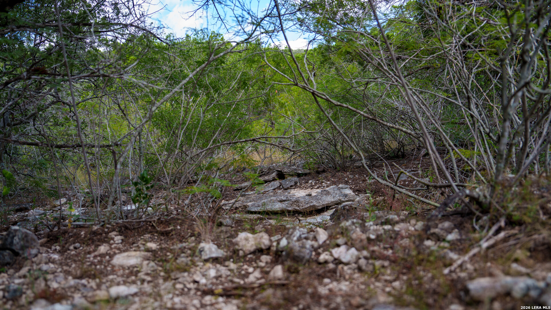 137 Acres Mesa Verde Sabinal TX 78881