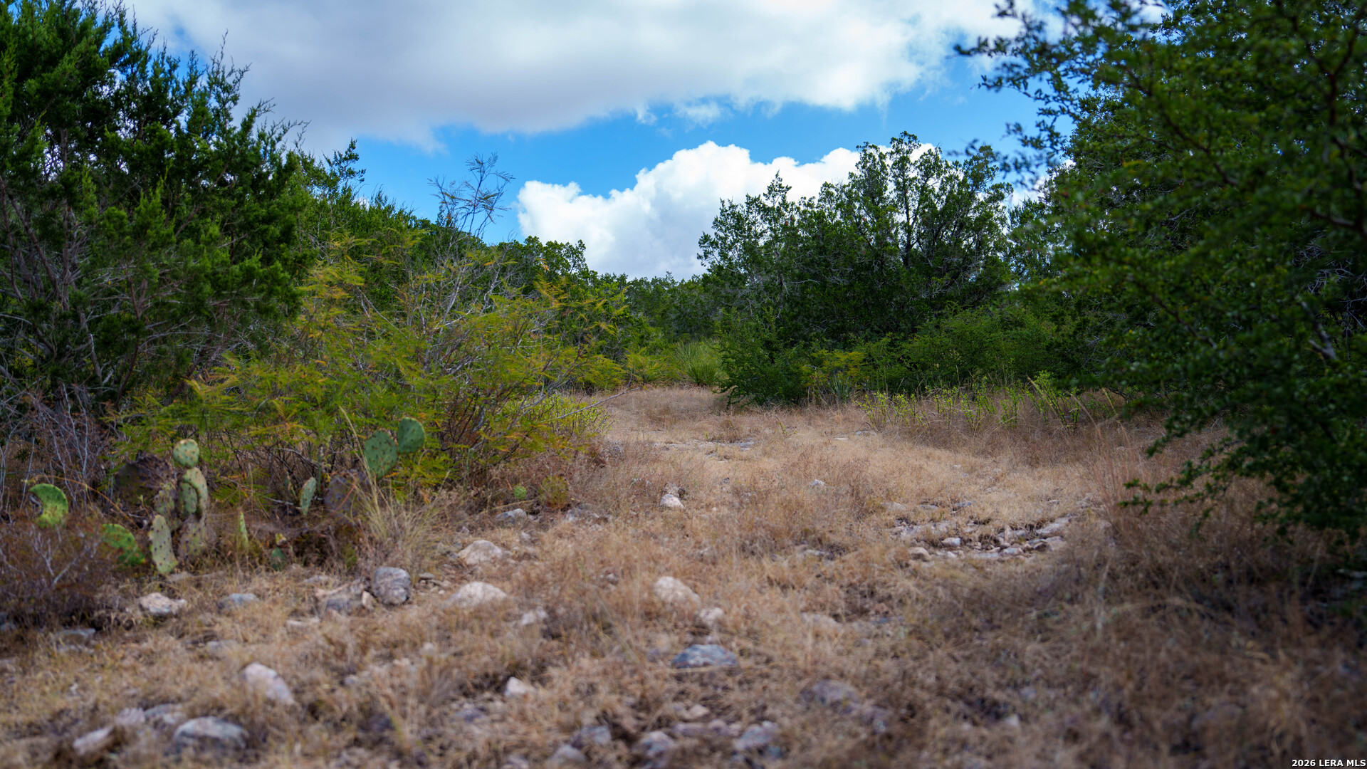 137 Acres Mesa Verde Sabinal TX 78881