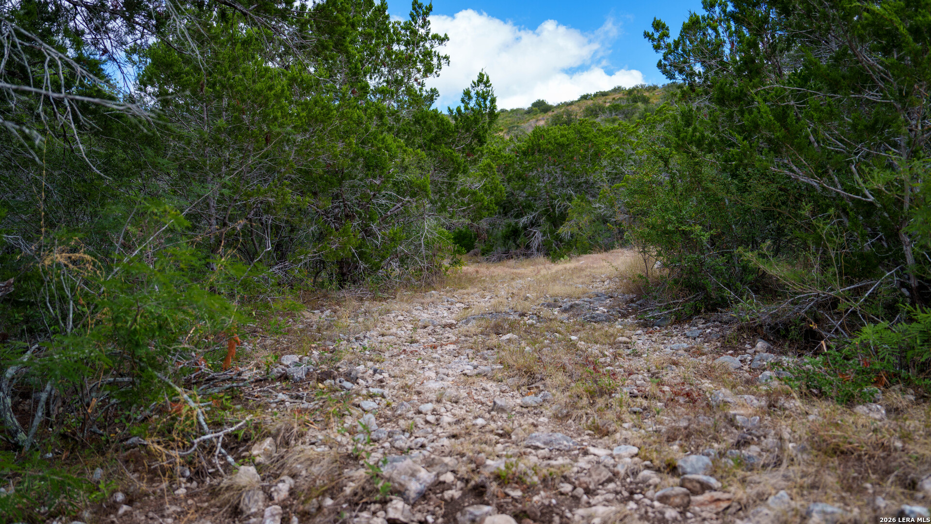 137 Acres Mesa Verde Sabinal TX 78881