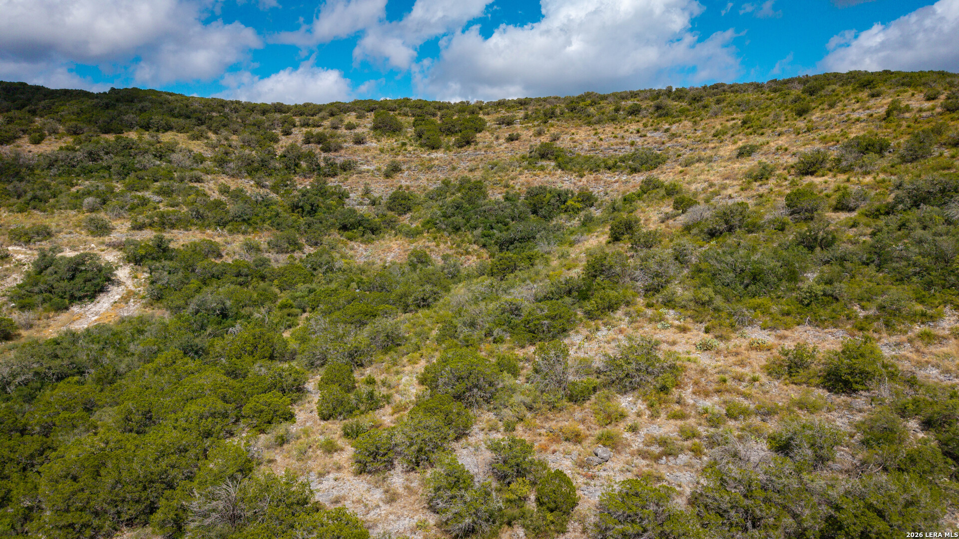 137 Acres Mesa Verde Sabinal TX 78881