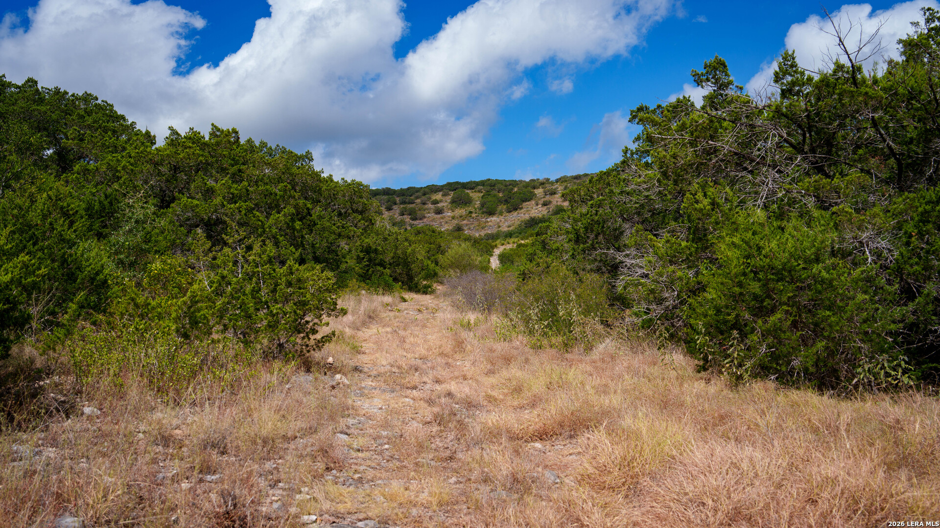 137 Acres Mesa Verde Sabinal TX 78881