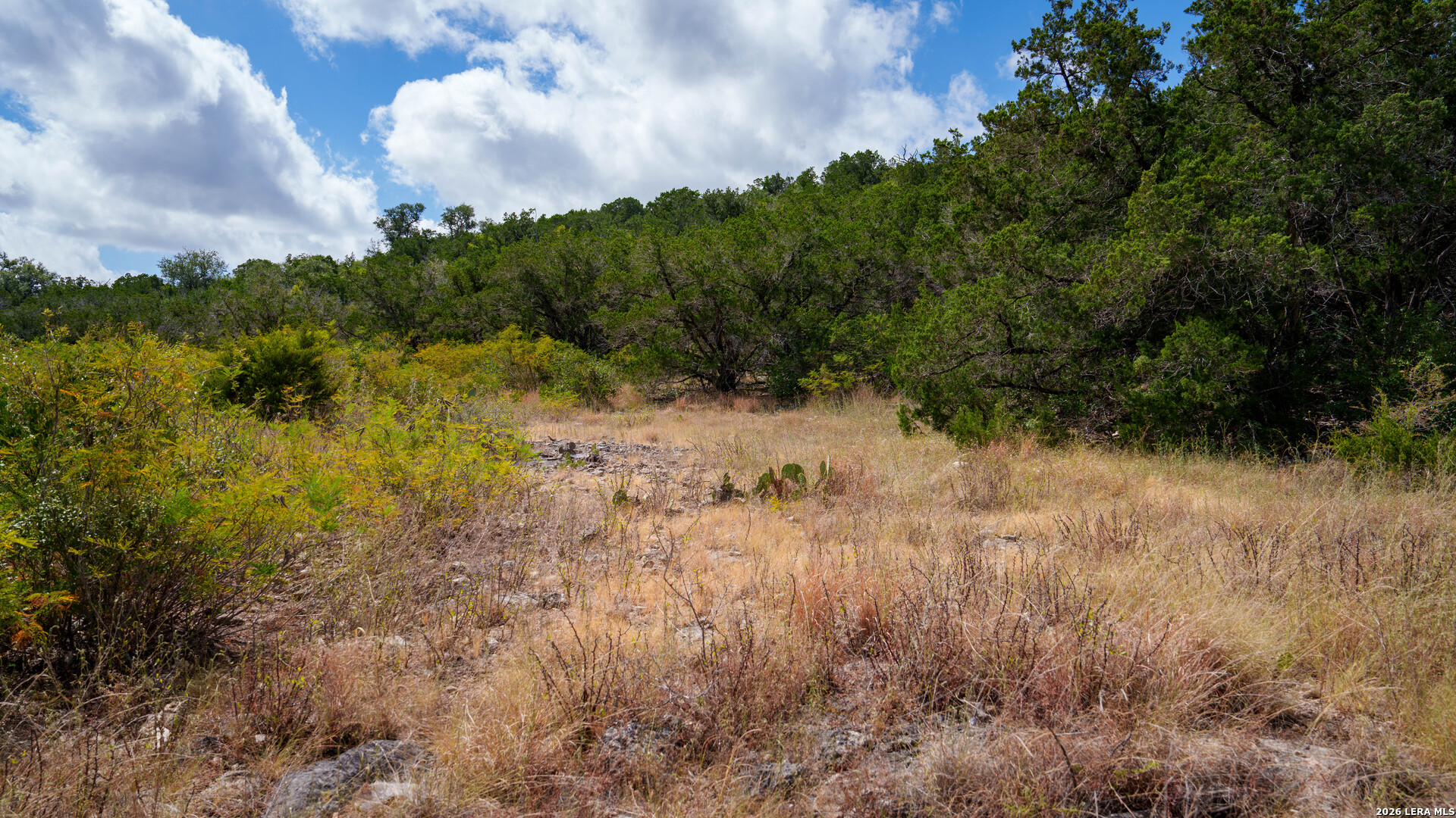 137 Acres Mesa Verde Sabinal TX 78881