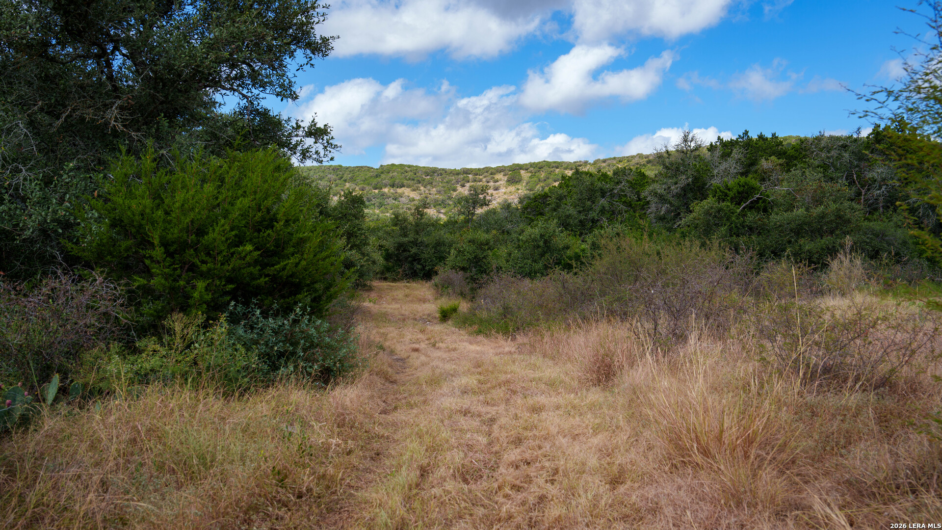 137 Acres Mesa Verde Sabinal TX 78881
