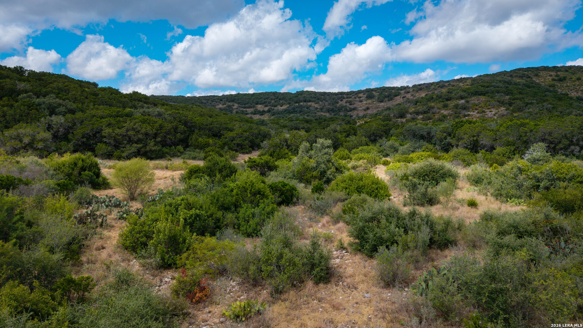 137 Acres Mesa Verde Sabinal TX 78881