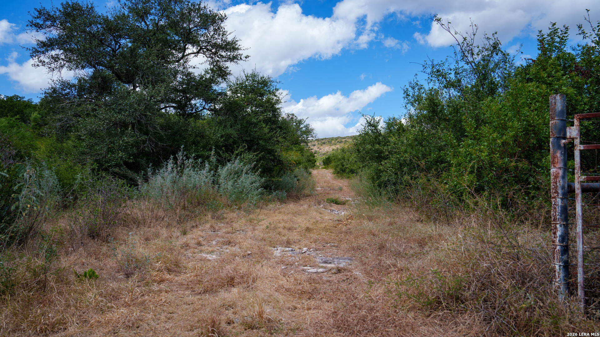137 Acres Mesa Verde Sabinal TX 78881