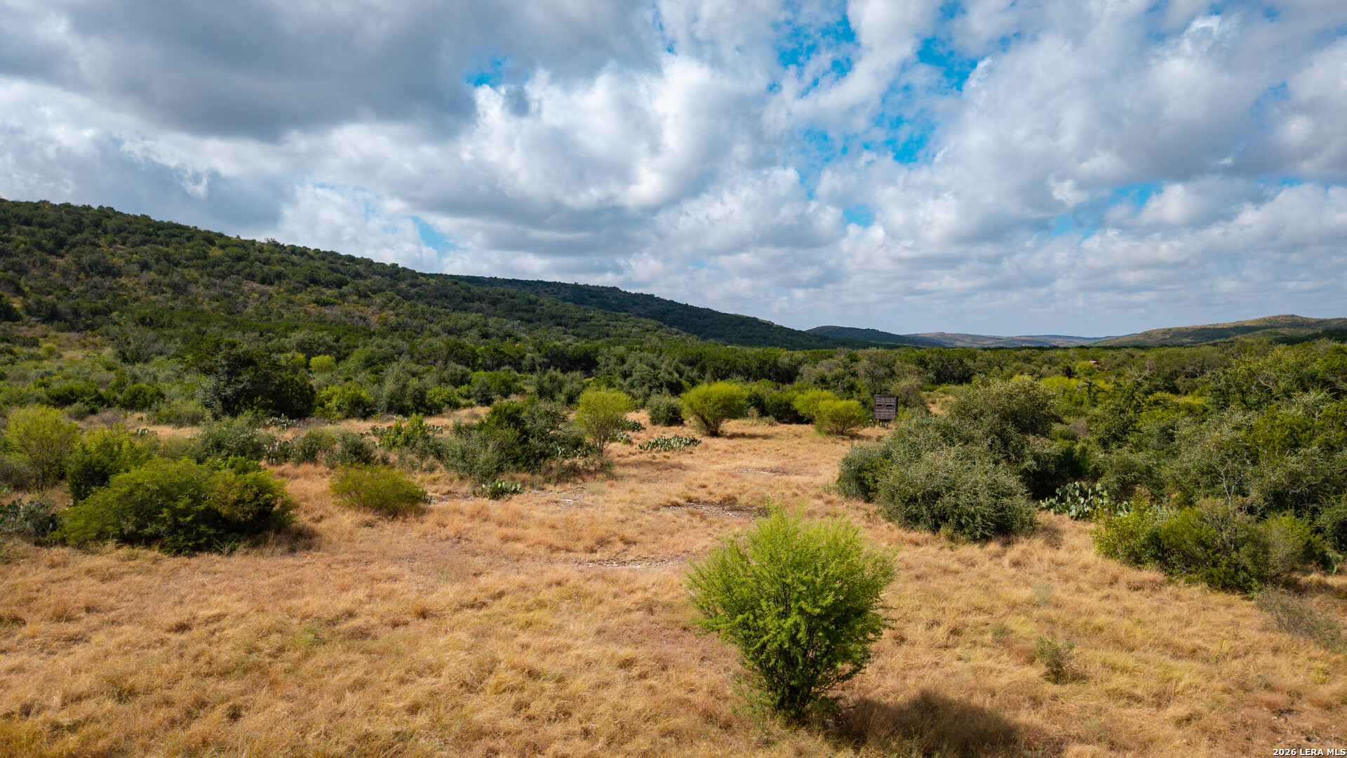 137 Acres Mesa Verde Sabinal TX 78881