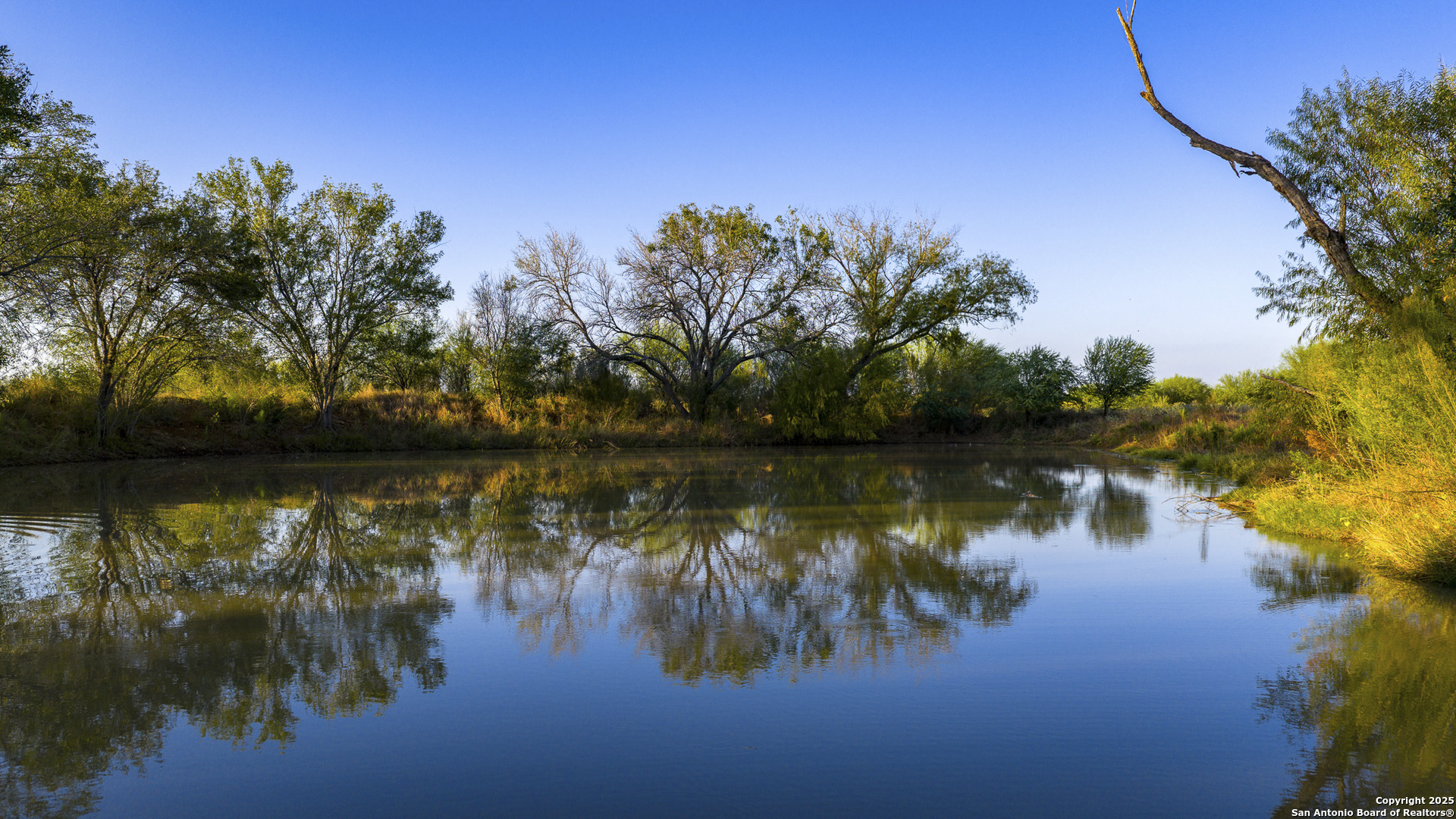 514 County Road 669 Devine TX 78016