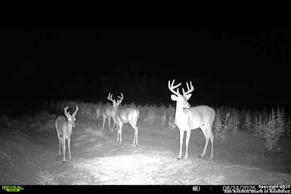 1121 County Road 481 Alice TX 78332