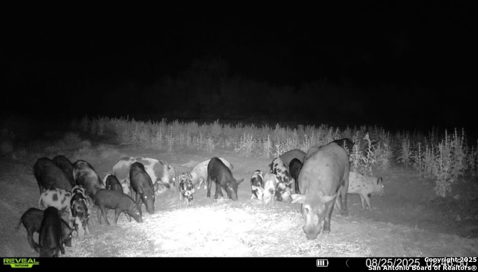 1121 County Road 481 Alice TX 78332