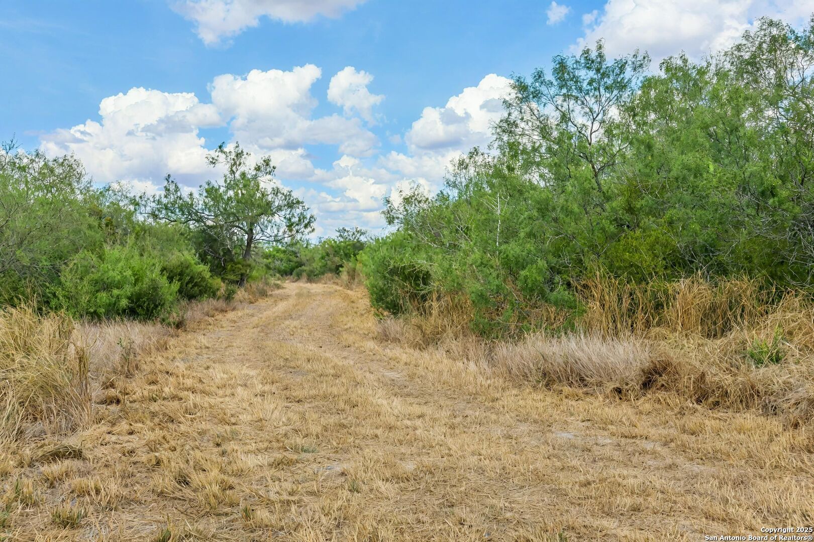 1121 County Road 481 Alice TX 78332