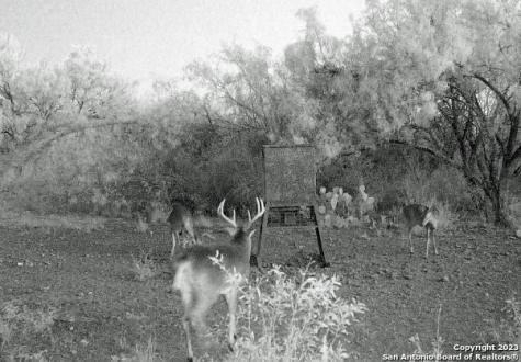 1066 Ranch Road Highway 187 Sabinal TX 78881