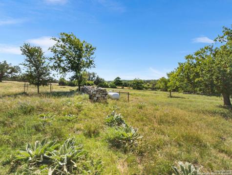 4369 Reeh Weinheimer Fredericksburg TX 78624