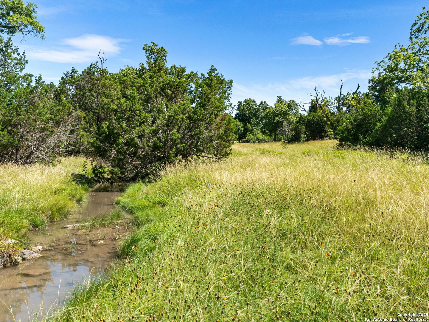 4369 Reeh Weinheimer Fredericksburg TX 78624