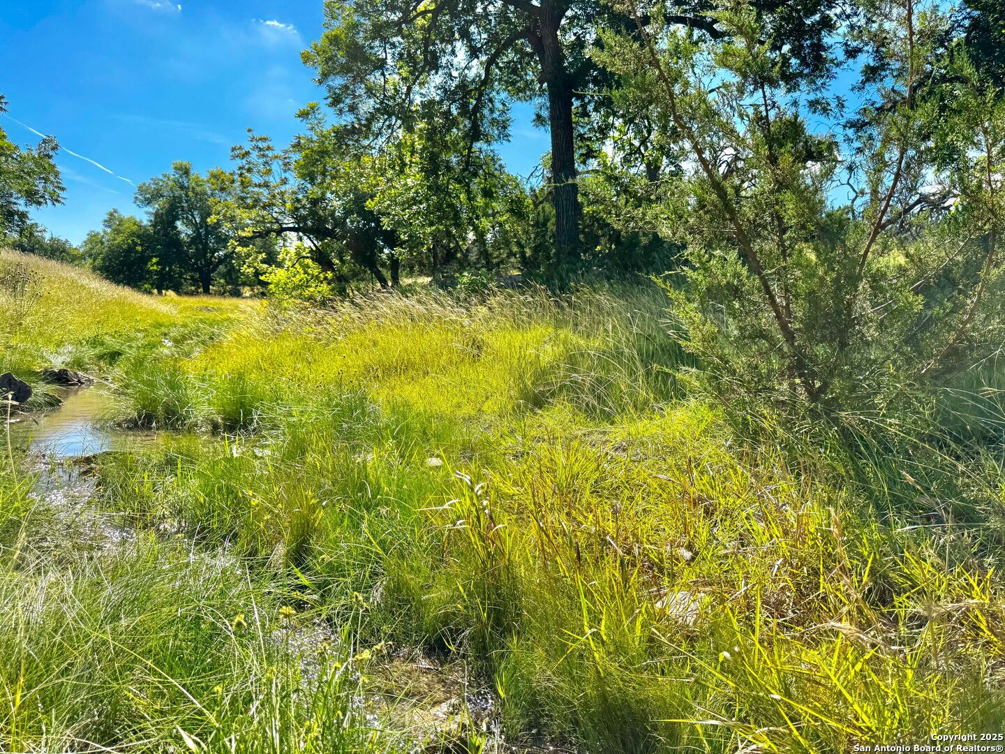 4369 Reeh Weinheimer Fredericksburg TX 78624