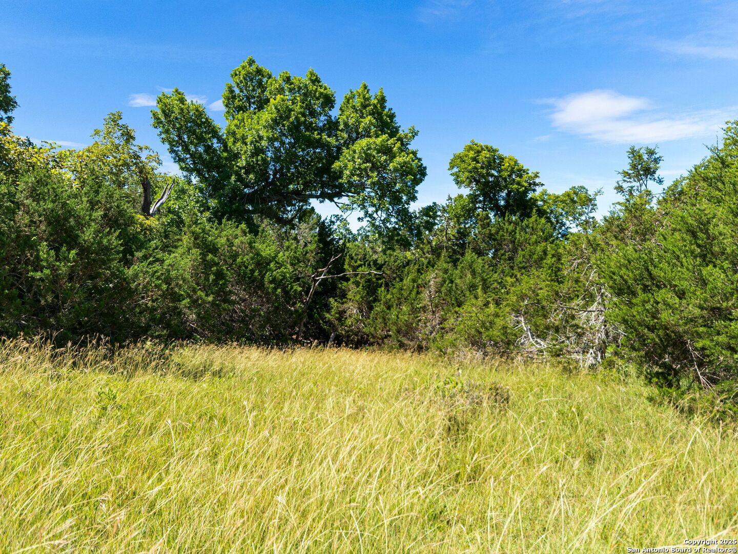 4369 Reeh Weinheimer Fredericksburg TX 78624