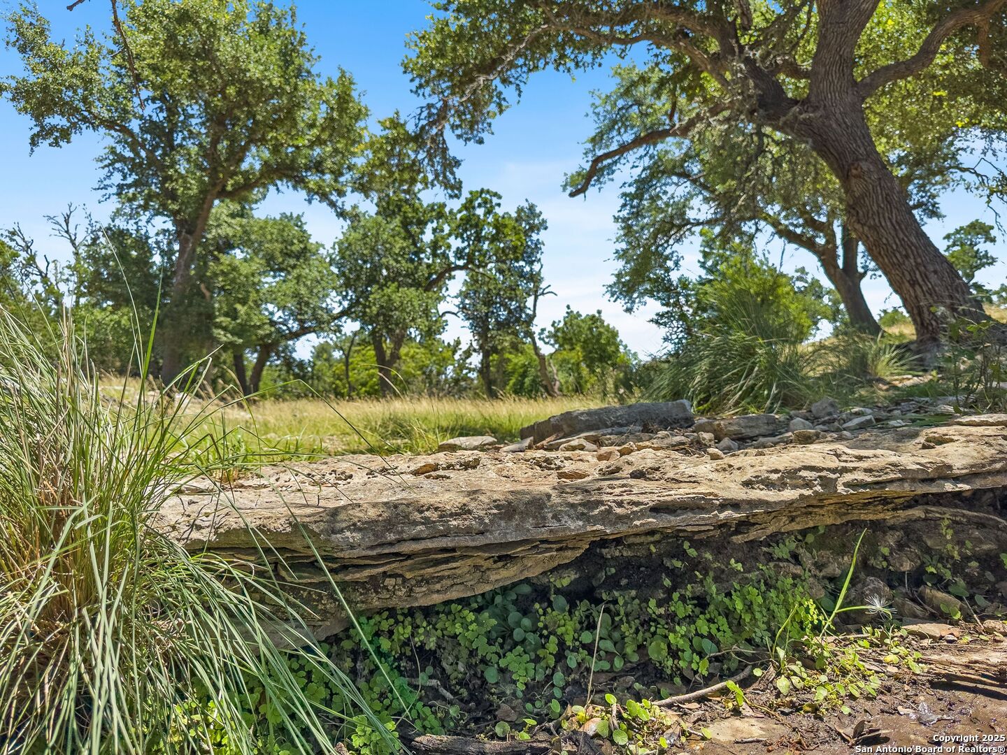 4369 Reeh Weinheimer Fredericksburg TX 78624