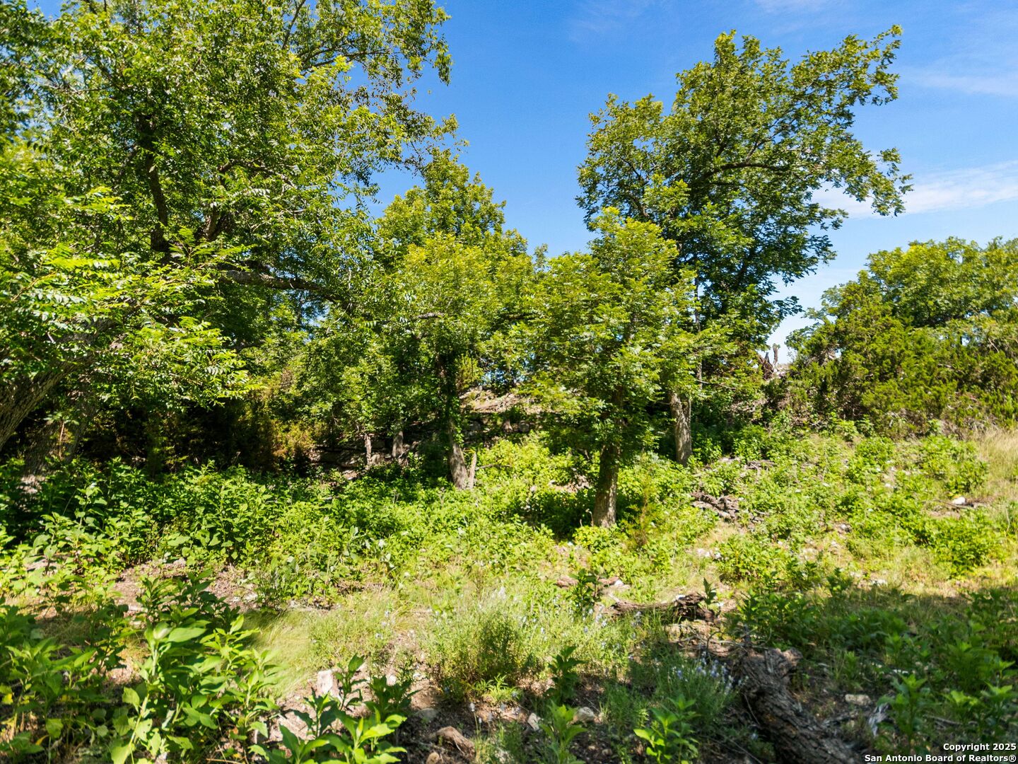 4369 Reeh Weinheimer Fredericksburg TX 78624