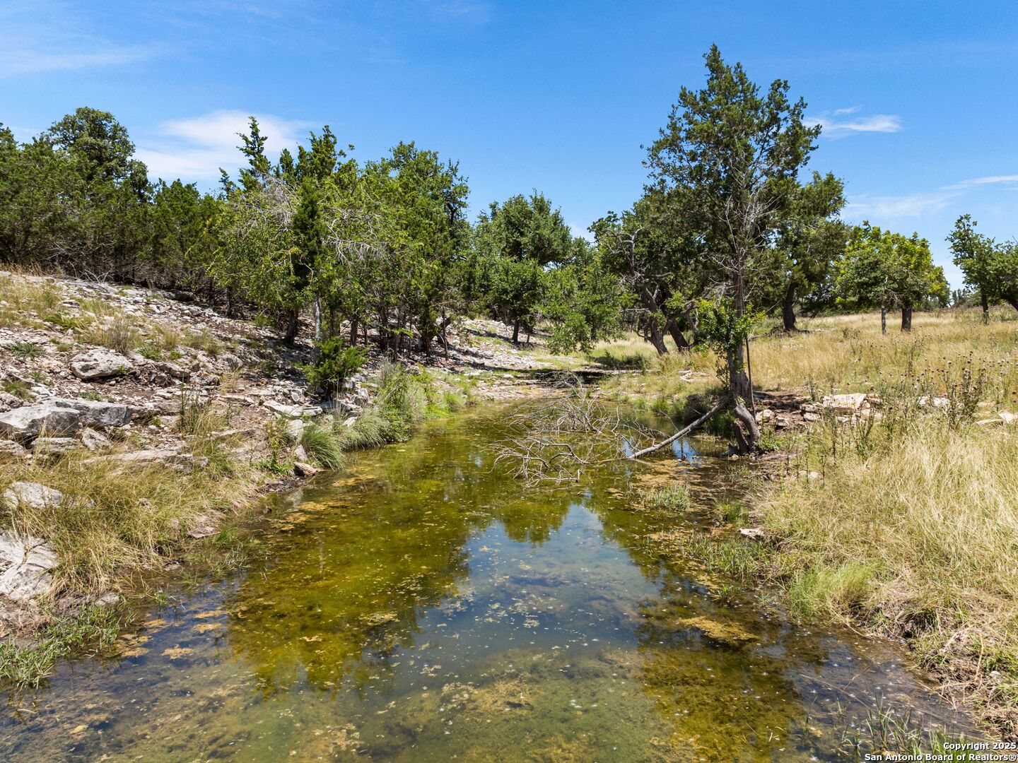 4369 Reeh Weinheimer Fredericksburg TX 78624