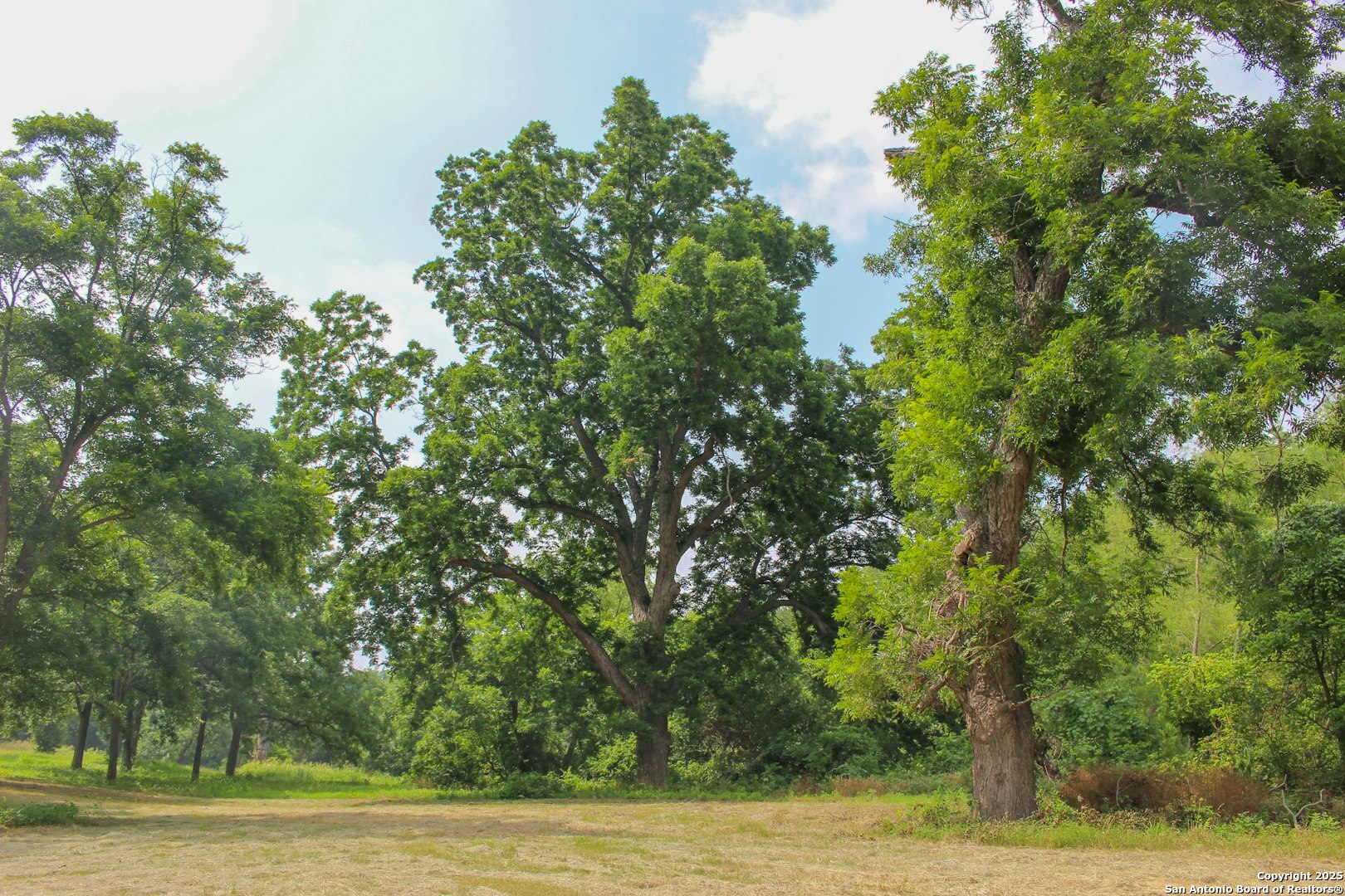 18281 Fm 1937 San Antonio TX 78221