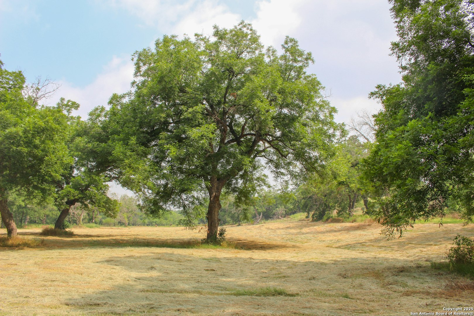 18281 Fm 1937 San Antonio TX 78221