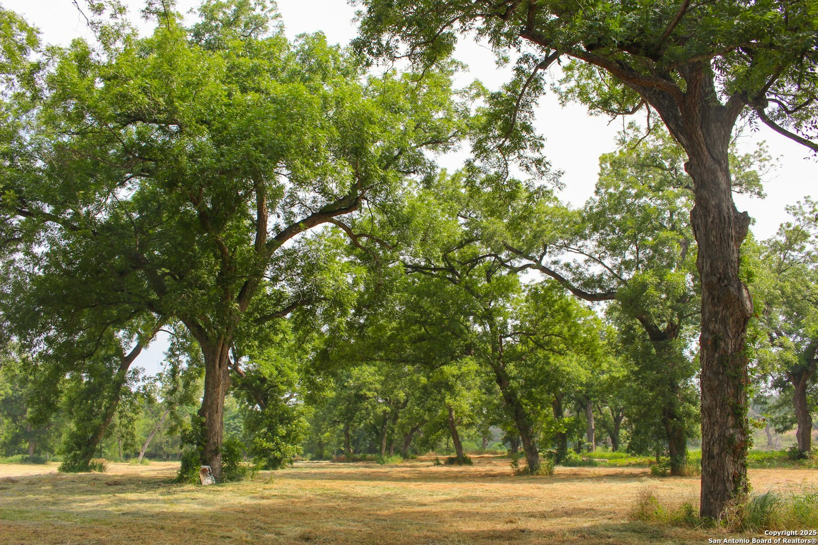 18281 Fm 1937 San Antonio TX 78221