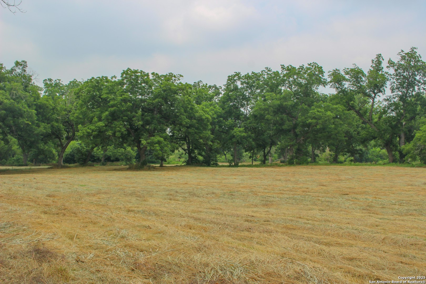 18281 Fm 1937 San Antonio TX 78221