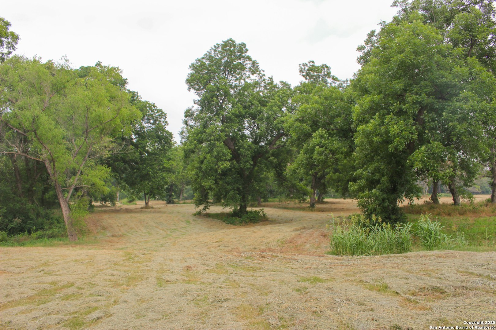 18281 Fm 1937 San Antonio TX 78221
