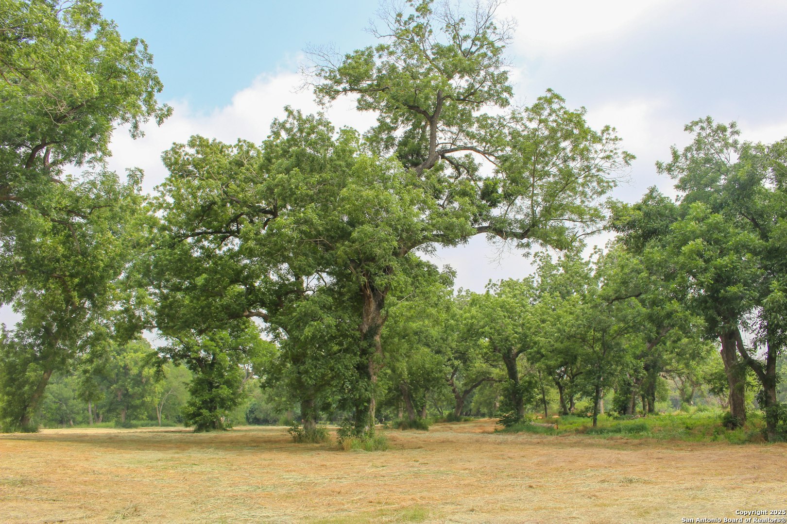 18281 Fm 1937 San Antonio TX 78221
