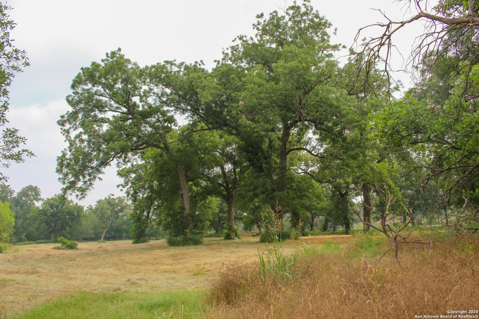 18281 Fm 1937 San Antonio TX 78221