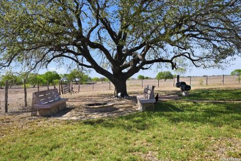 279 Cr 302 George West TX 78022