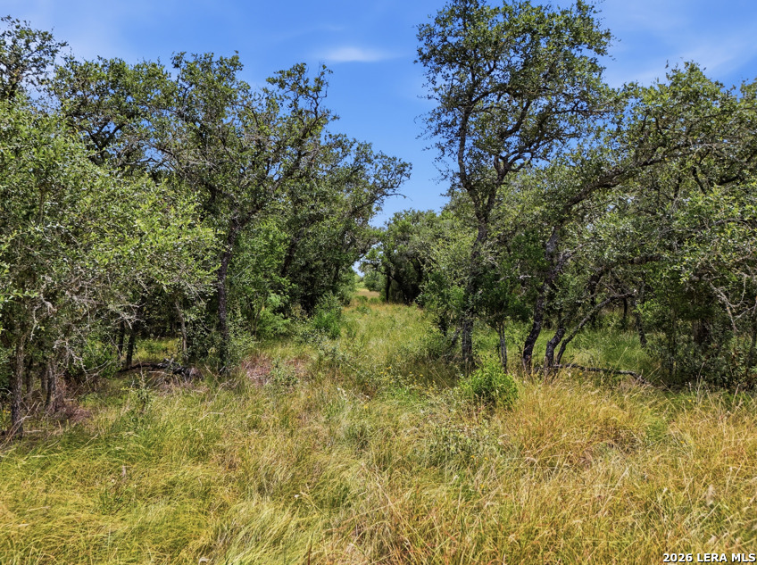 Lot 37 Utopia Oaks Dhanis TX 78850