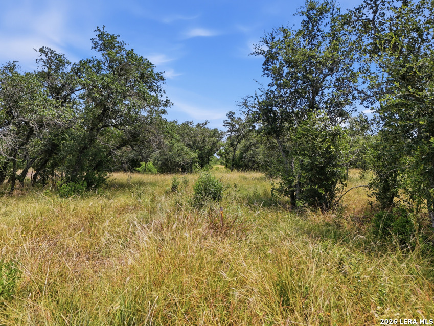 Lot 37 Utopia Oaks Dhanis TX 78850