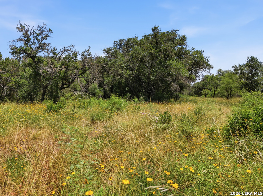 Lot 37 Utopia Oaks Dhanis TX 78850