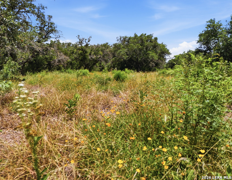 Lot 37 Utopia Oaks Dhanis TX 78850