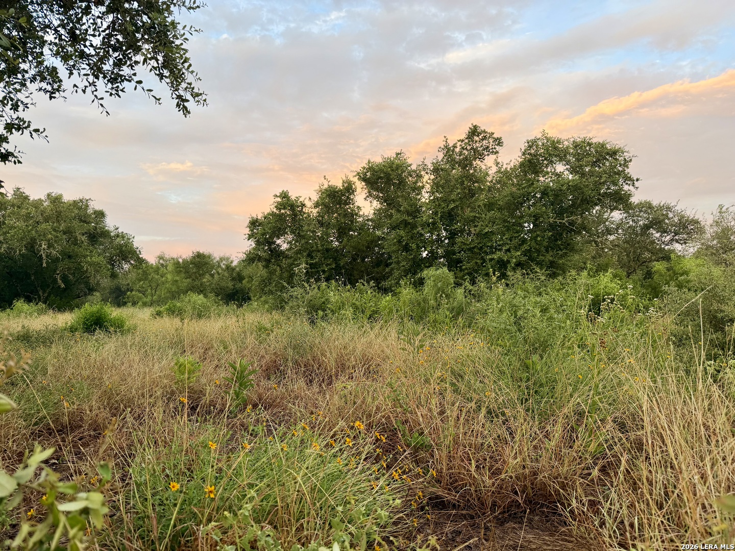 Lot 37 Utopia Oaks Dhanis TX 78850