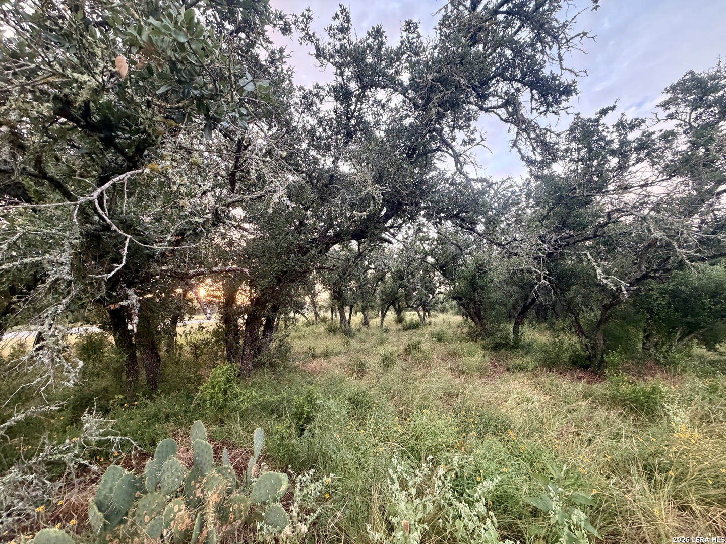 Lot 37 Utopia Oaks Dhanis TX 78850