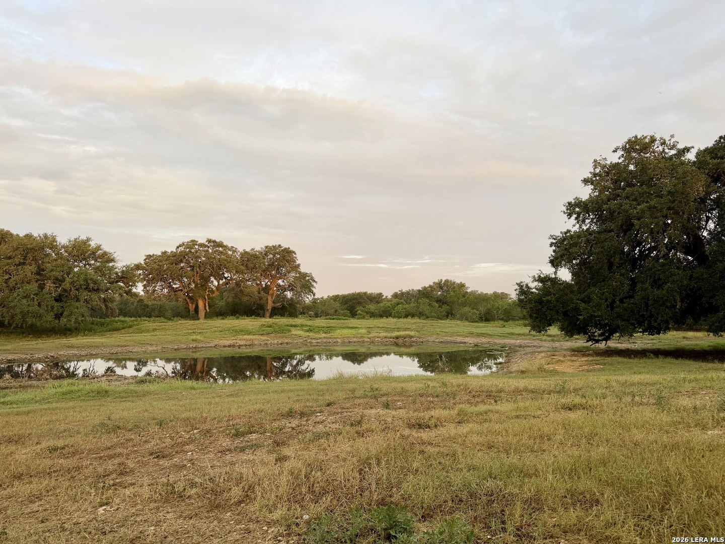 Lot 37 Utopia Oaks Dhanis TX 78850