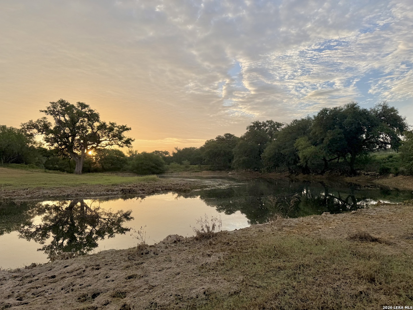 Lot 37 Utopia Oaks Dhanis TX 78850
