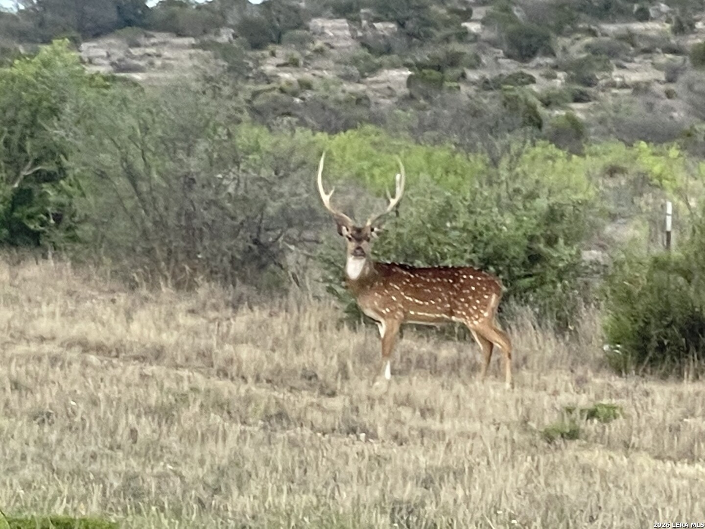 21 N High Lonesome Ranch Comstock TX 78837