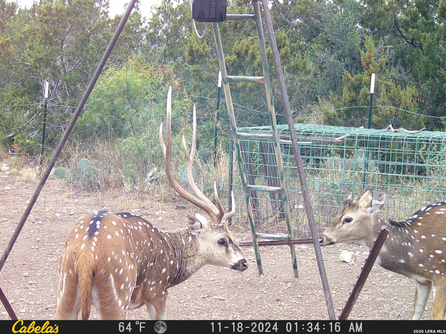 21 N High Lonesome Ranch Comstock TX 78837